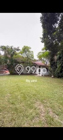 Rumah Disewakan Denpasar LT 400m2 LB 200m2 Kawasan Sanur Rumah Disewakan Denpasar LT 400m2 LB 200m2 Kawasan Sanur