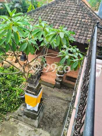 Disewakan Rumah Harga Terjangkau di Sanur Denpasar dengan 6 KT Disewakan Rumah Harga Terjangkau di Sanur Denpasar dengan 6 KT