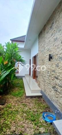 Jarang Ada! Rumah Sewa 3 Kamar Bagus Siap Huni Renon Jarang Ada! Rumah Sewa 3 Kamar Bagus Siap Huni Renon