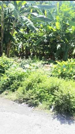 Jual Tanah Lokasi Prima di Denpasar Timur, Luas 11671m2m², Akses Denpasar Timur, Denpasar, Denpasar Jual Tanah Lokasi Prima di Denpasar Timur, Luas 11671m2m², Akses Denpasar Timur, Denpasar, Denpasar