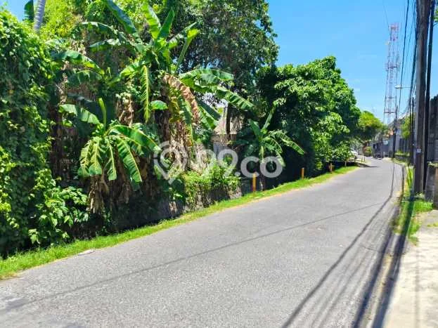Untuk Disewa Tanah di Sanur Denpasar Seluas 127m2 Untuk Disewa Tanah di Sanur Denpasar Seluas 127m2