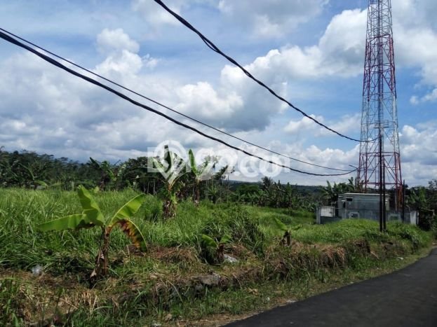 Tanah Dijual Lokasi Cicurug, Sukabumi dengan Luas Tanah 4400m2 dan Status SHM Tanah Dijual Lokasi Cicurug, Sukabumi dengan Luas Tanah 4400m2 dan Status SHM