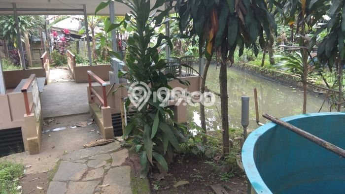 Jarang Ada! Tanah di Cijeruk Punya Luas 900m2 SHM Jarang Ada! Tanah di Cijeruk Punya Luas 900m2 SHM