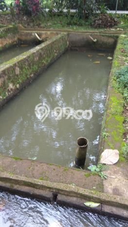 Jarang Ada! Tanah di Cijeruk Punya Luas 900m2 SHM Jarang Ada! Tanah di Cijeruk Punya Luas 900m2 SHM