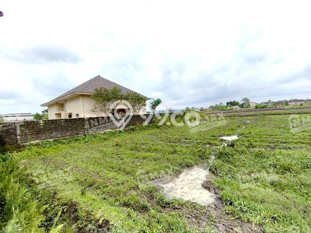Disewakan Tanah di Pakis Luas 1175m2 SHM Disewakan Tanah di Pakis Luas 1175m2 SHM