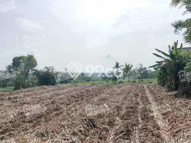 Paling Dicari! Lahan Kosong Disewakan di Wagir, Malang Paling Dicari! Lahan Kosong Disewakan di Wagir, Malang