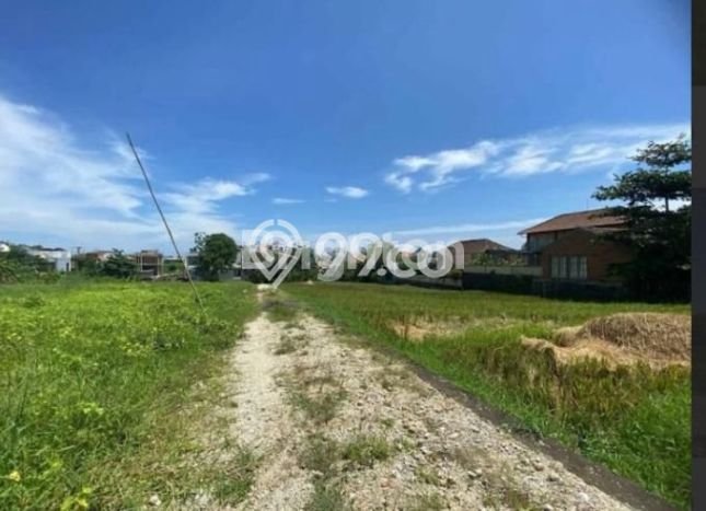 Dijual Tanah di Kuta Utara Badung Luas 100m2 SHM Dijual Tanah di Kuta Utara Badung Luas 100m2 SHM