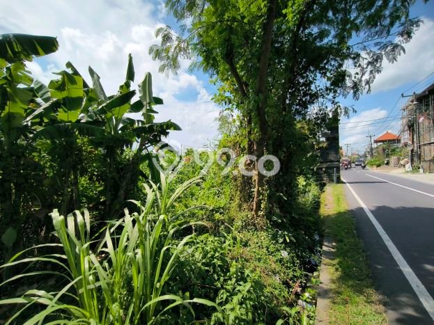 Tanah Kavling Dijual di Pererenan, Badung dengan Luas Tanah 1500m2 Tanah Kavling Dijual di Pererenan, Badung dengan Luas Tanah 1500m2