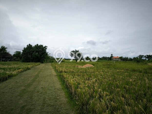 Tanah Dijual Lokasi Kediri Tabanan - Tanah Dijual Lokasi Kediri Tabanan -
