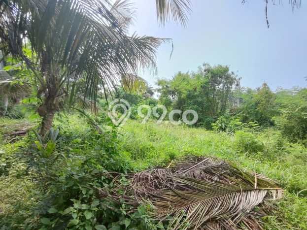 Tanah Kavling Dijual di Gianyar dengan Spesifikasi 100m2 Tanah Kavling Dijual di Gianyar dengan Spesifikasi 100m2