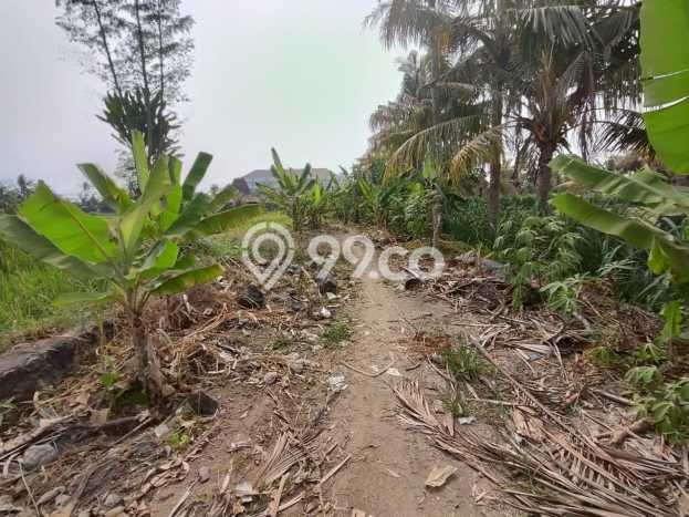 Tanah Kavling Dijual di Gianyar dengan Spesifikasi 100m2 Tanah Kavling Dijual di Gianyar dengan Spesifikasi 100m2