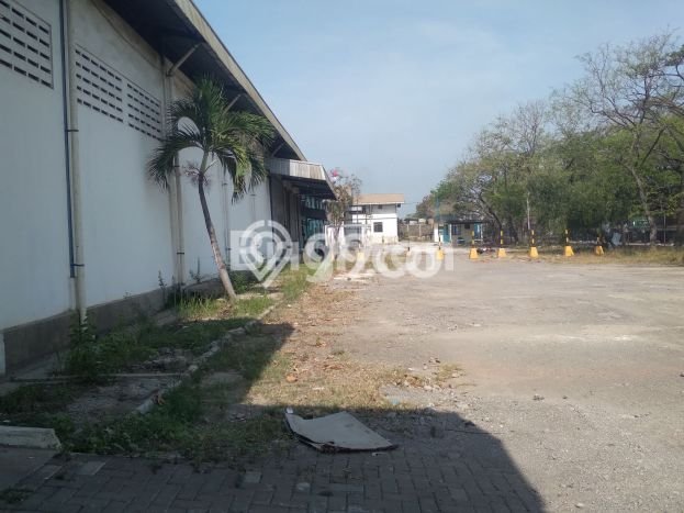 Gudang paling strategis disewakan di Cilincing Jakarta Utara Gudang paling strategis disewakan di Cilincing Jakarta Utara