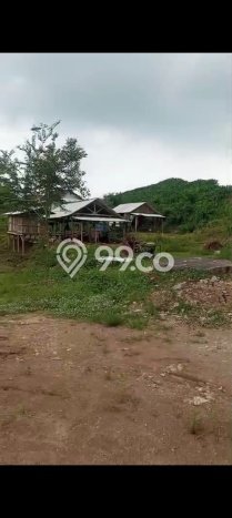 Kavling Tanah Dijual di Pamotan, Rembang, Luas 40000m2 Area Strategis Kavling Tanah Dijual di Pamotan, Rembang, Luas 40000m2 Area Strategis