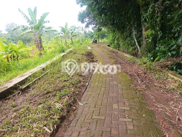 Tanah untuk Dijual di Gunung Pati Semarang Luas 1200m2 Tanah untuk Dijual di Gunung Pati Semarang Luas 1200m2
