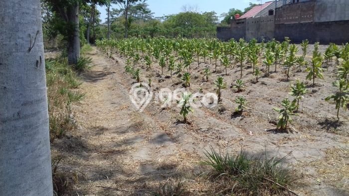 Tanah Dijual di Boyolali Seluas 785m2 Strategis Tanah Dijual di Boyolali Seluas 785m2 Strategis