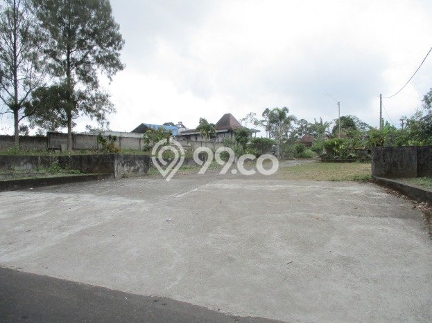Tanah Kavling Dijual di Catur, Bangli dengan Luas Tanah 10350m2 Tanah Kavling Dijual di Catur, Bangli dengan Luas Tanah 10350m2
