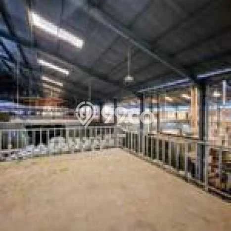 Paling Dicari! Gudang Dijual di Cikarang Harga Kompetitif Paling Dicari! Gudang Dijual di Cikarang Harga Kompetitif