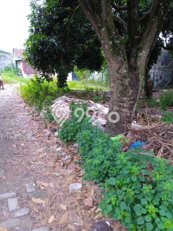Lahan Kosong Dijual di Tegal Barat, Tegal, Luas 7360m2 Area Strategis Lahan Kosong Dijual di Tegal Barat, Tegal, Luas 7360m2 Area Strategis