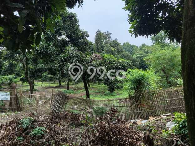 Lahan Kosong Dijual di Tegal Barat, Tegal, Luas 7360m2 Area Strategis Lahan Kosong Dijual di Tegal Barat, Tegal, Luas 7360m2 Area Strategis