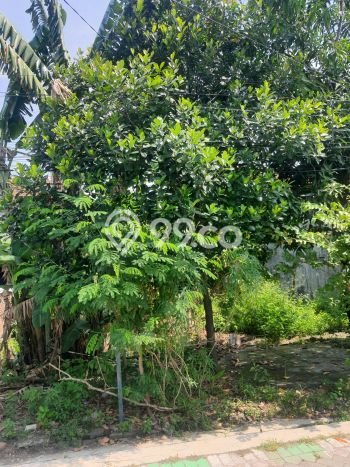 HARGA MENARIK! Tanah Kawasan Majapahit, Luas 311m², Area Nyaman HARGA MENARIK! Tanah Kawasan Majapahit, Luas 311m², Area Nyaman