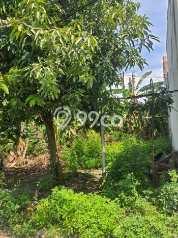 HARGA MENARIK! Tanah Kawasan Majapahit, Luas 311m², Area Nyaman HARGA MENARIK! Tanah Kawasan Majapahit, Luas 311m², Area Nyaman