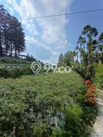 Tanah Dijual Area Strategis di Salatiga Salatiga 2900m2 Tanah Dijual Area Strategis di Salatiga Salatiga 2900m2