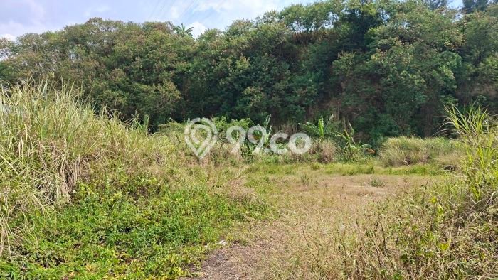 Kavling Tanah di Semarang Barat Dijual Luas 2693m2 Legalitas SHM Kavling Tanah di Semarang Barat Dijual Luas 2693m2 Legalitas SHM