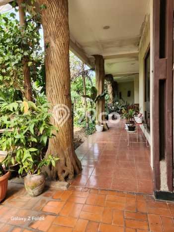 Disewakan Segera Rumah Kondisi Baik di Kawasan Cilandak, Jakarta Selatan Disewakan Segera Rumah Kondisi Baik di Kawasan Cilandak, Jakarta Selatan