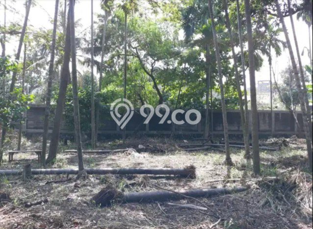 Tanah Dijual Lokasi Duren Sawit Jakarta Timur SHM Tanah Dijual Lokasi Duren Sawit Jakarta Timur SHM