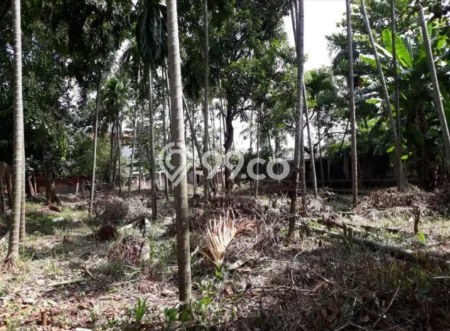Tanah Dijual Lokasi Duren Sawit Jakarta Timur SHM Tanah Dijual Lokasi Duren Sawit Jakarta Timur SHM