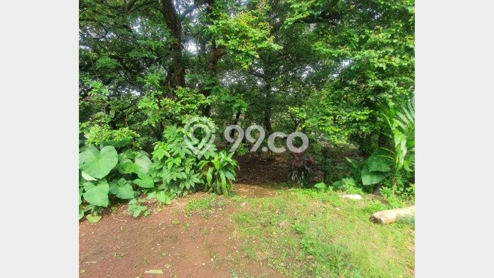 Tanah Dijual Area Strategis di Rangkapanjaya Depok 2600m2 Tanah Dijual Area Strategis di Rangkapanjaya Depok 2600m2