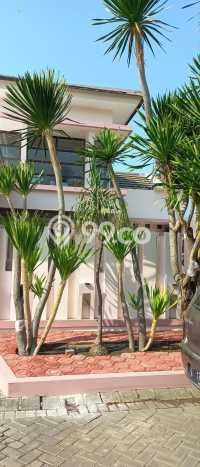 Jual Rumah Strategis Bagus Punya 5 KT di Gedangan Sidoarjo SHM Jual Rumah Strategis Bagus Punya 5 KT di Gedangan Sidoarjo SHM