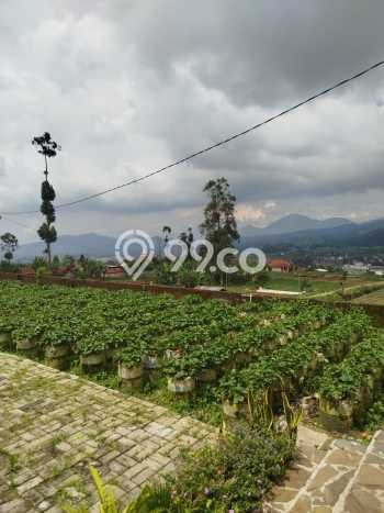 Jual Rumah Favorit Siap Huni LB 500m2 di Rancabali, Bandung Jual Rumah Favorit Siap Huni LB 500m2 di Rancabali, Bandung