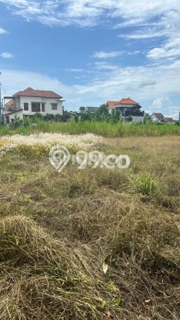 Disewakan Segera Tanah di Kesiman Luas 2400m2 Area Potensial Disewakan Segera Tanah di Kesiman Luas 2400m2 Area Potensial