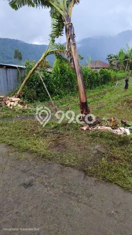 Tanah Strategis Dijual di Sukasada Buleleng 550m2 Tanah Strategis Dijual di Sukasada Buleleng 550m2