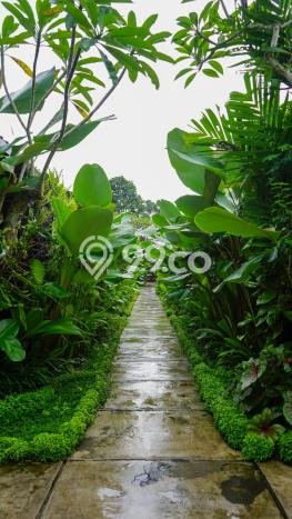SEWA TERBAIK! Vila Kawasan Ubud, Area 0m2m², Lingkungan Asri SEWA TERBAIK! Vila Kawasan Ubud, Area 0m2m², Lingkungan Asri