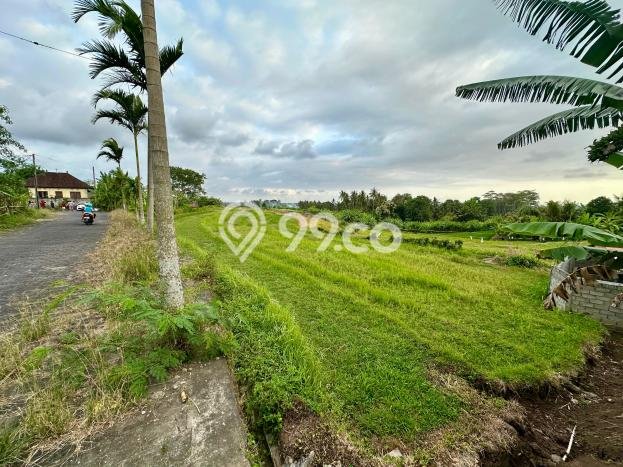 Tanah Strategis Dijual di Kerambitan Tabanan 5472m2 Tanah Strategis Dijual di Kerambitan Tabanan 5472m2