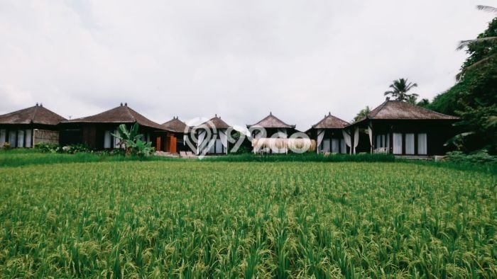 SEWA TERBAIK! Vila Kawasan Ubud, Area 0m2m², Lingkungan Asri SEWA TERBAIK! Vila Kawasan Ubud, Area 0m2m², Lingkungan Asri