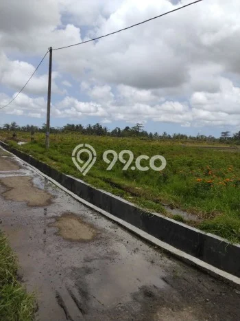 Jarang Ada! Tanah di Marga Punya Luas 2500m2 SHM Jarang Ada! Tanah di Marga Punya Luas 2500m2 SHM