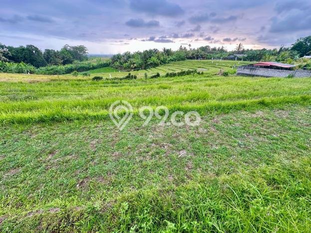 Tanah Strategis Dijual di Kerambitan Tabanan 5472m2 Tanah Strategis Dijual di Kerambitan Tabanan 5472m2