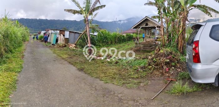 Tanah Strategis Dijual di Sukasada Buleleng 550m2 Tanah Strategis Dijual di Sukasada Buleleng 550m2