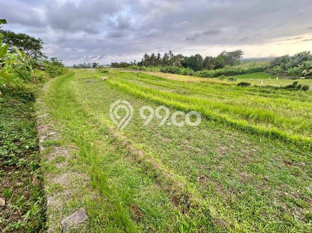 Tanah Strategis Dijual di Kerambitan Tabanan 5472m2 Tanah Strategis Dijual di Kerambitan Tabanan 5472m2