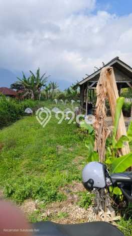 Tanah Strategis Dijual di Sukasada Buleleng 550m2 Tanah Strategis Dijual di Sukasada Buleleng 550m2