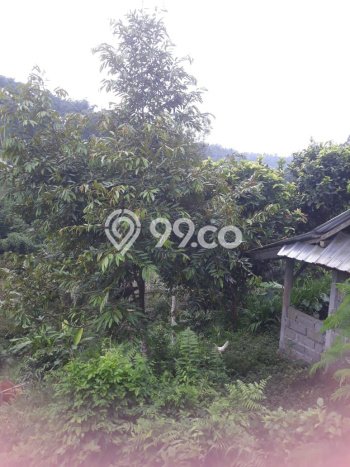 Tanah Dijual Lokasi Petang Badung SHM Tanah Dijual Lokasi Petang Badung SHM