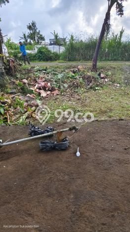 Tanah Strategis Dijual di Sukasada Buleleng 550m2 Tanah Strategis Dijual di Sukasada Buleleng 550m2