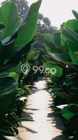 SEWA TERBAIK! Vila Kawasan Ubud, Area 0m2m², Lingkungan Asri SEWA TERBAIK! Vila Kawasan Ubud, Area 0m2m², Lingkungan Asri