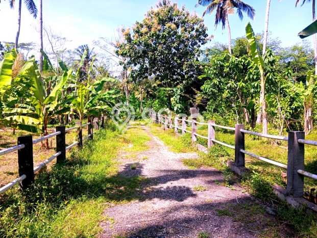 Lahan untuk Disewakan di Negara Jembrana SHM Lahan untuk Disewakan di Negara Jembrana SHM
