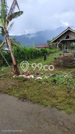 Tanah Strategis Dijual di Sukasada Buleleng 550m2 Tanah Strategis Dijual di Sukasada Buleleng 550m2