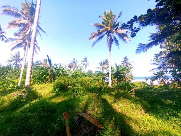 Lahan untuk Disewakan di Negara Jembrana SHM Lahan untuk Disewakan di Negara Jembrana SHM