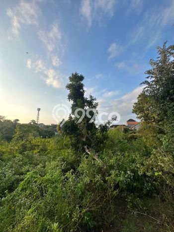 Tanah Kavling Dijual di Kutuh, Badung dengan Luas Tanah 4800m2 Tanah Kavling Dijual di Kutuh, Badung dengan Luas Tanah 4800m2